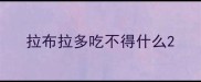 拉布拉多吃不得什么