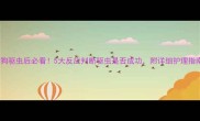 狗狗驱虫后必看5大反应判断驱虫是否成功附详细护理指南