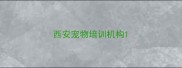 西安宠物培训机构