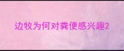 边牧为何对粪便感兴趣