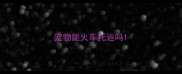 宠物能火车托运吗
