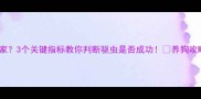 哈士奇驱虫后疯狂拆家3个关键指标教你判断驱虫是否成功养狗攻略哈士奇养护宠物健康