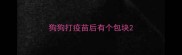 狗狗打疫苗后有个包块