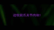 边牧前爪关节肉块