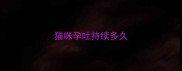 猫咪孕吐持续多久