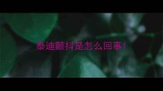 泰迪颤抖是怎么回事