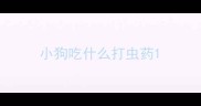 小狗吃什么打虫药