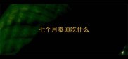 七个月泰迪吃什么