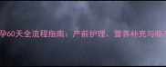 狗狗怀孕60天全流程指南产前护理营养补充与临产准备
