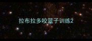 拉布拉多咬篮子训练