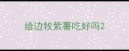 给边牧紫薯吃好吗