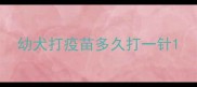幼犬打疫苗多久打一针