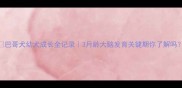 巴哥犬幼犬成长全记录3月龄大脑发育关键期你了解吗