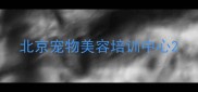 北京宠物美容培训中心