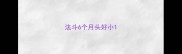 法斗6个月头好小