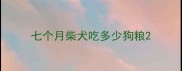 七个月柴犬吃多少狗粮