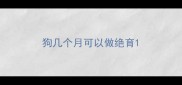 狗几个月可以做绝育