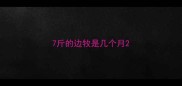 7斤的边牧是几个月