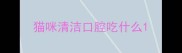 猫咪清洁口腔吃什么
