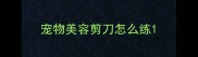 宠物美容剪刀怎么练