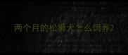 两个月的松狮犬怎么饲养