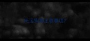 托运狗狗注意事项