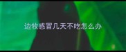 边牧感冒几天不吃怎么办