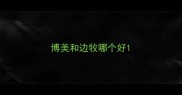 博美和边牧哪个好