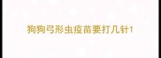 狗狗弓形虫疫苗要打几针