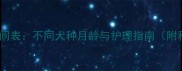 狗狗剪毛最佳时间表不同犬种月龄与护理指南附科学剪毛步骤