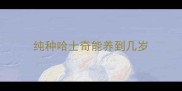 纯种哈士奇能养到几岁