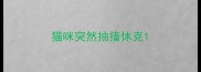 猫咪突然抽搐休克