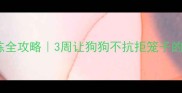 幼犬笼内训练全攻略3周让狗狗不抗拒笼子的科学方法
