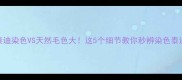泰迪染色VS天然毛色大这5个细节教你秒辨染色泰迪