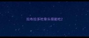 拉布拉多吃骨头很能吃