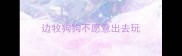 边牧狗狗不愿意出去玩