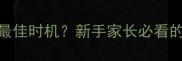 边牧幼犬洗澡最佳时机新手家长必看的5大注意事项