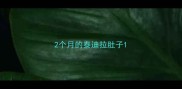 2个月的泰迪拉肚子
