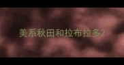 美系秋田和拉布拉多