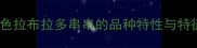 黑色拉布拉多串串的品种特性与特征