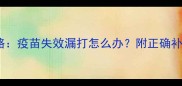 幼犬疫苗重打全攻略疫苗失效漏打怎么办附正确补种流程与注意事项
