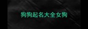 狗狗起名大全女狗