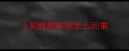 小狗睡醒咳嗽怎么回事