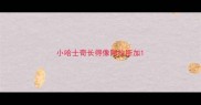 小哈士奇长得像阿拉斯加