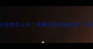 小狗耳朵褐色分泌物怎么办耳螨还是其他问题3步教你科学护理