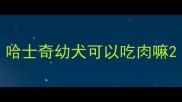 哈士奇幼犬可以吃肉嘛