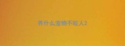 养什么宠物不咬人