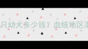 哈士奇价格全一只幼犬多少钱血统地区渠道影响有多大