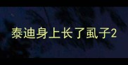 泰迪身上长了虱子