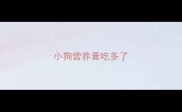 小狗营养膏吃多了